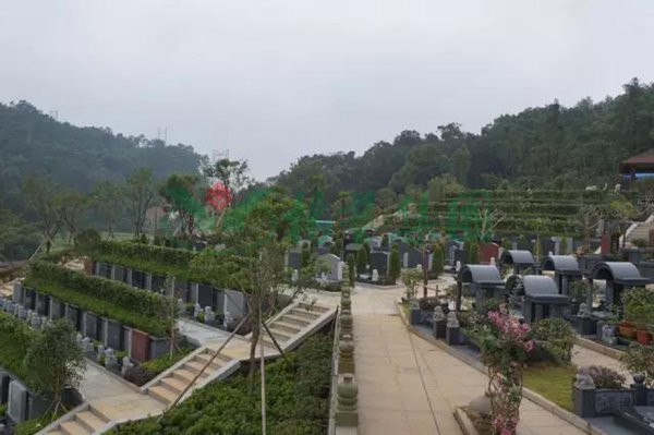 AG真人国际(中国)官方网站