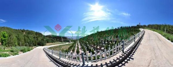 AG真人国际(中国)官方网站