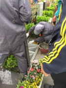 【ag真人国际人别样清明】2018年清明落葬事情圆满完成