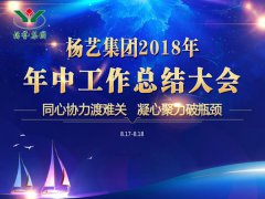ag真人国际集团2018年中总结报告（摘要）