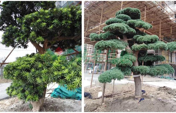 AG真人国际(中国)官方网站