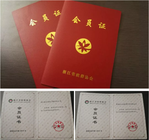 AG真人国际(中国)官方网站