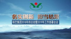 ag真人国际集团2018年总结暨2019年岁情安排聚会召开