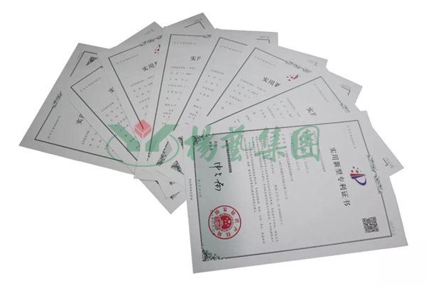 AG真人国际(中国)官方网站