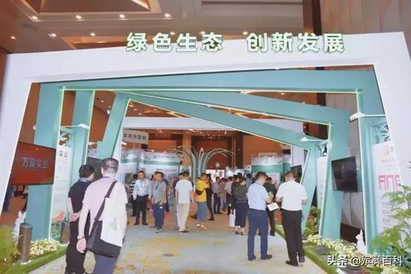AG真人国际(中国)官方网站