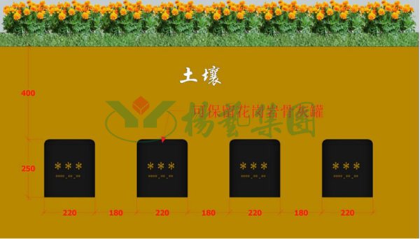 AG真人国际(中国)官方网站