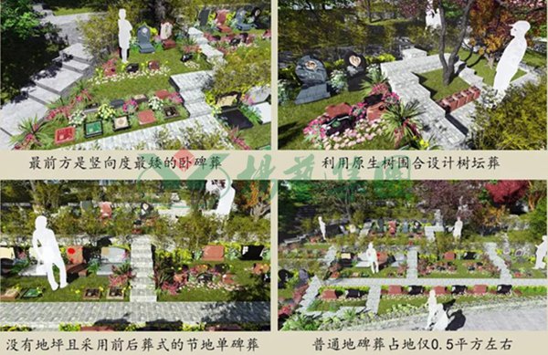 AG真人国际(中国)官方网站