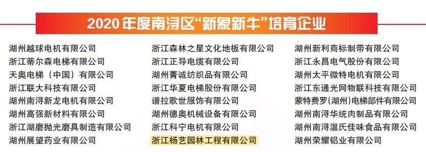 AG真人国际(中国)官方网站
