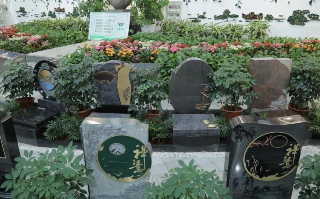 AG真人国际(中国)官方网站