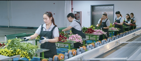 AG真人国际(中国)官方网站