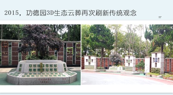 AG真人国际(中国)官方网站