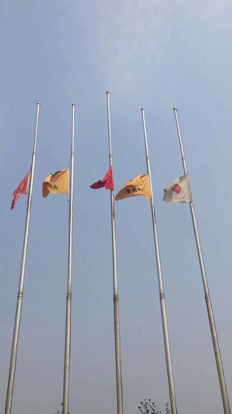 AG真人国际(中国)官方网站