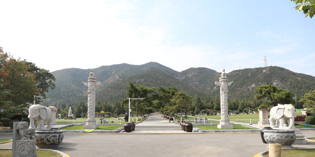 AG真人国际(中国)官方网站