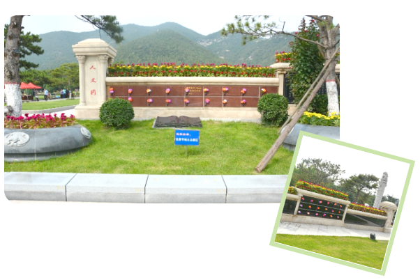 AG真人国际(中国)官方网站