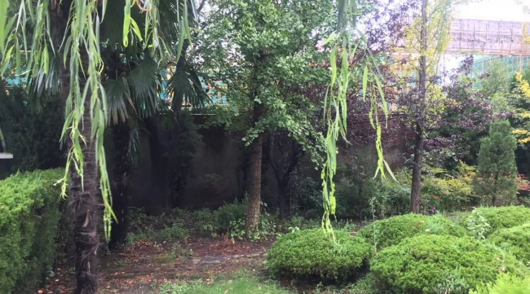 AG真人国际(中国)官方网站