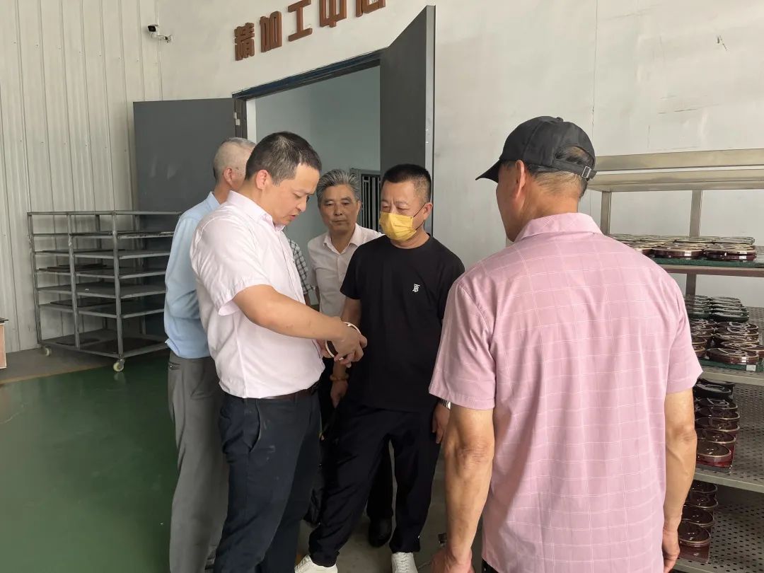 AG真人国际(中国)官方网站