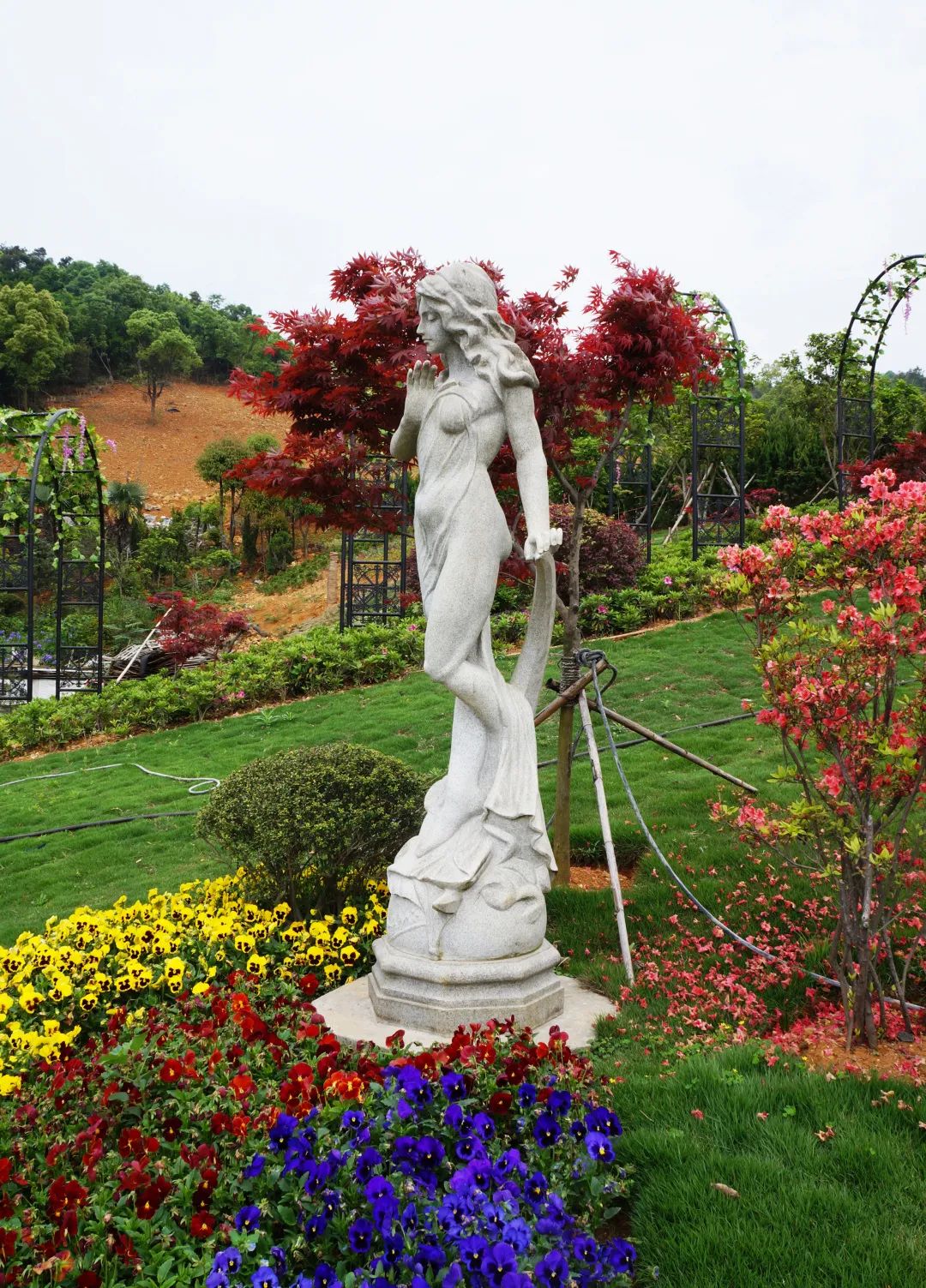 AG真人国际(中国)官方网站