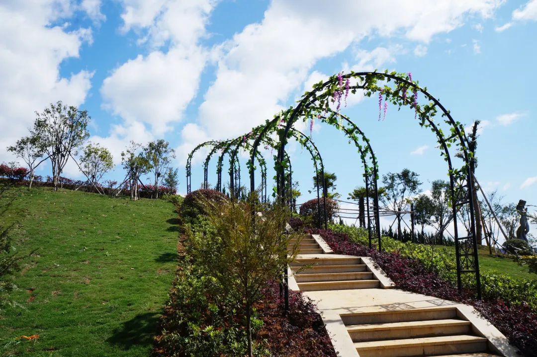 AG真人国际(中国)官方网站