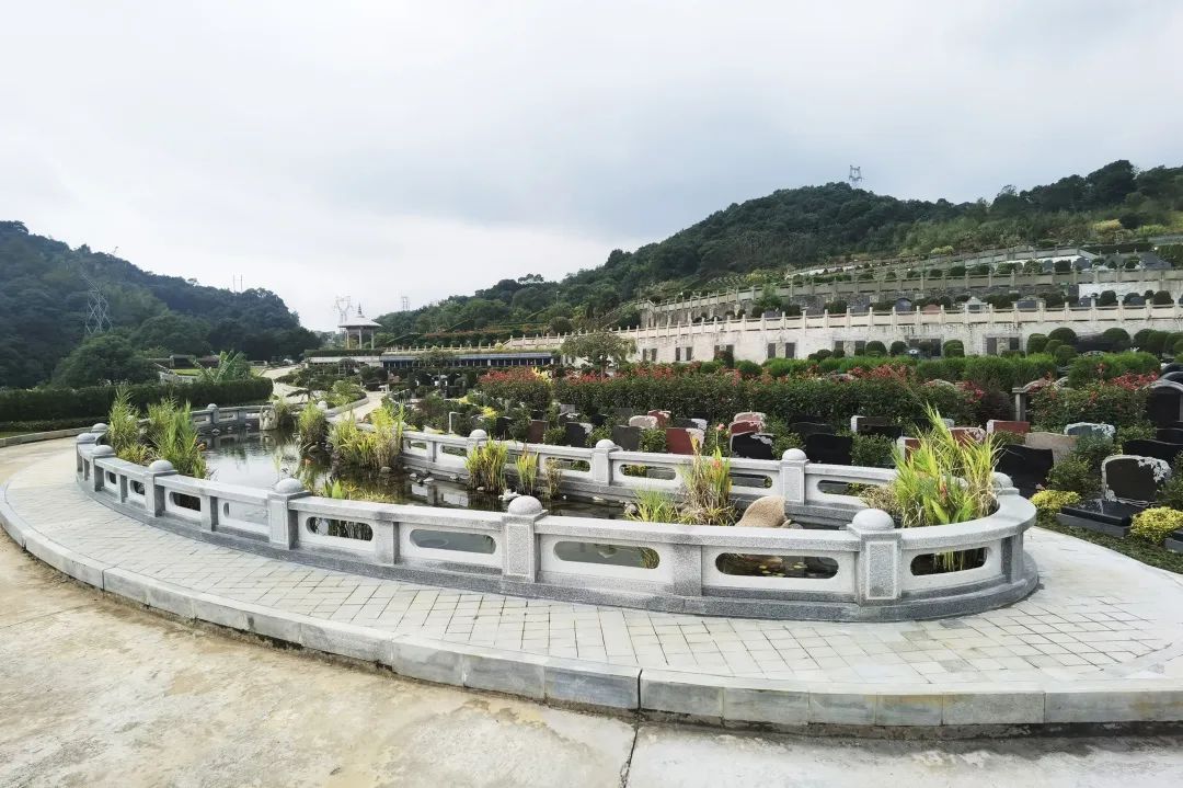 AG真人国际(中国)官方网站