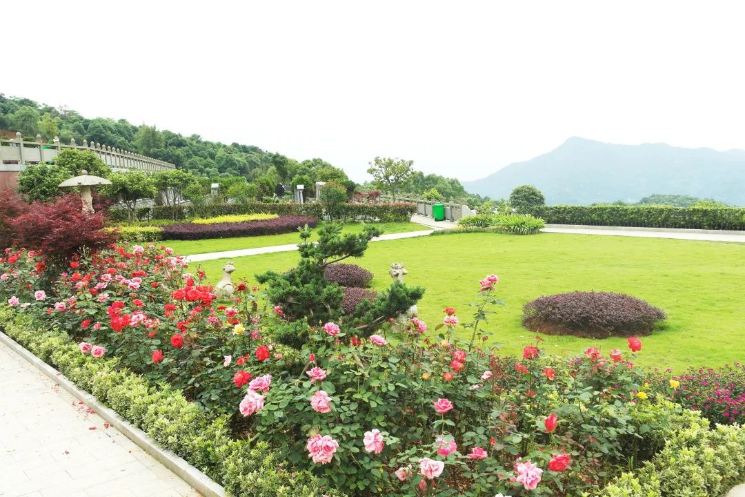 AG真人国际(中国)官方网站