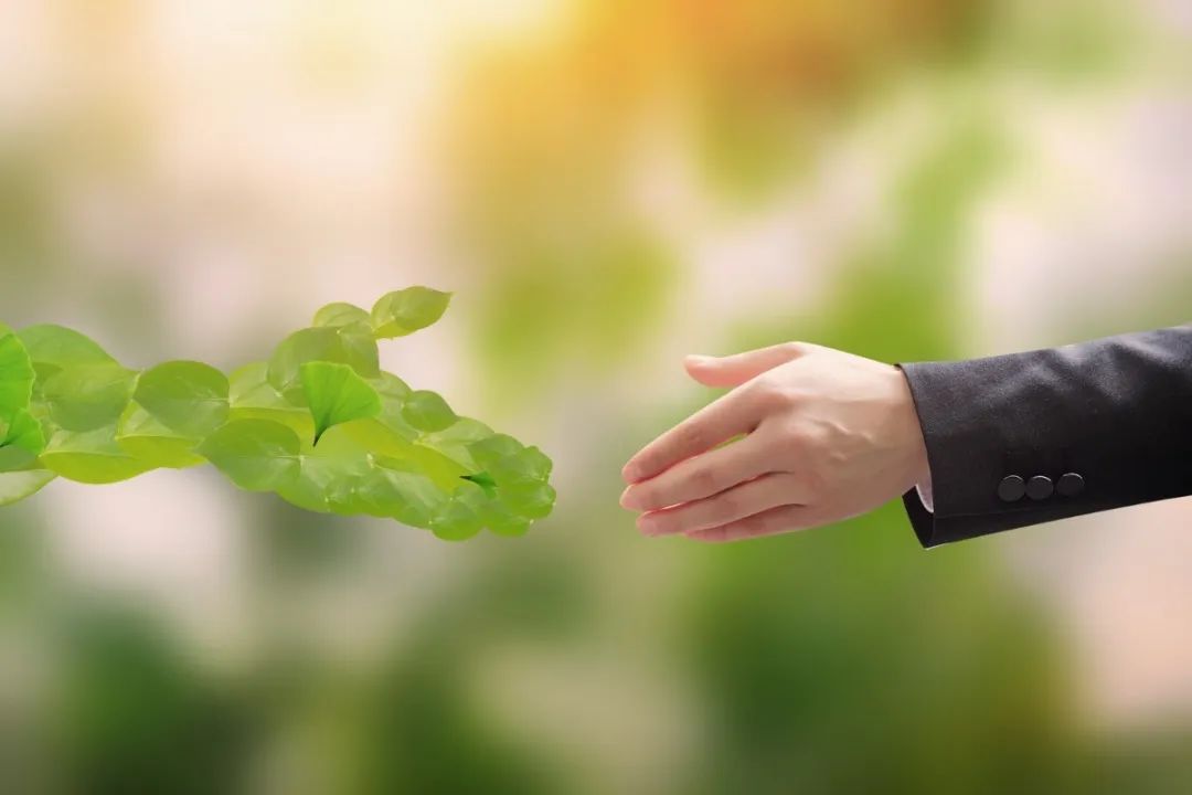 AG真人国际(中国)官方网站