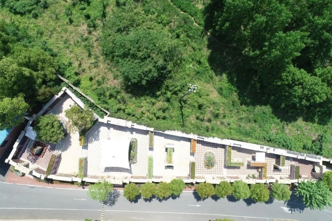 AG真人国际(中国)官方网站