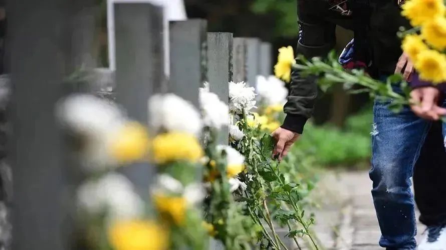AG真人国际(中国)官方网站