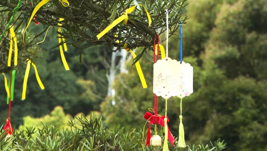 AG真人国际(中国)官方网站