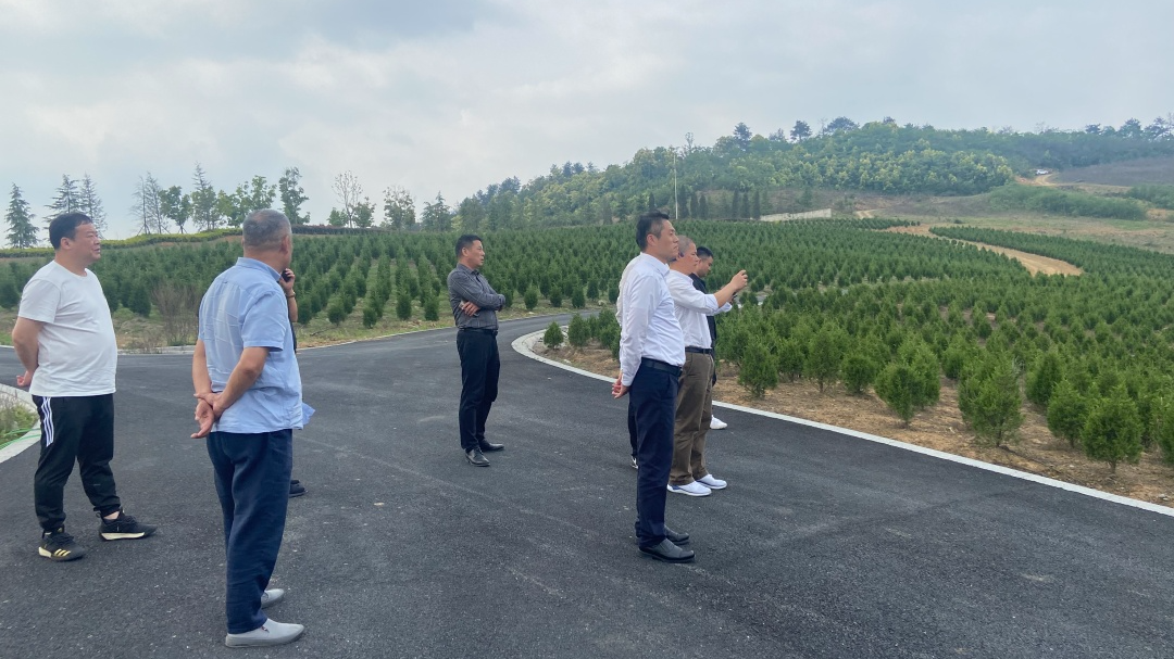 AG真人国际(中国)官方网站