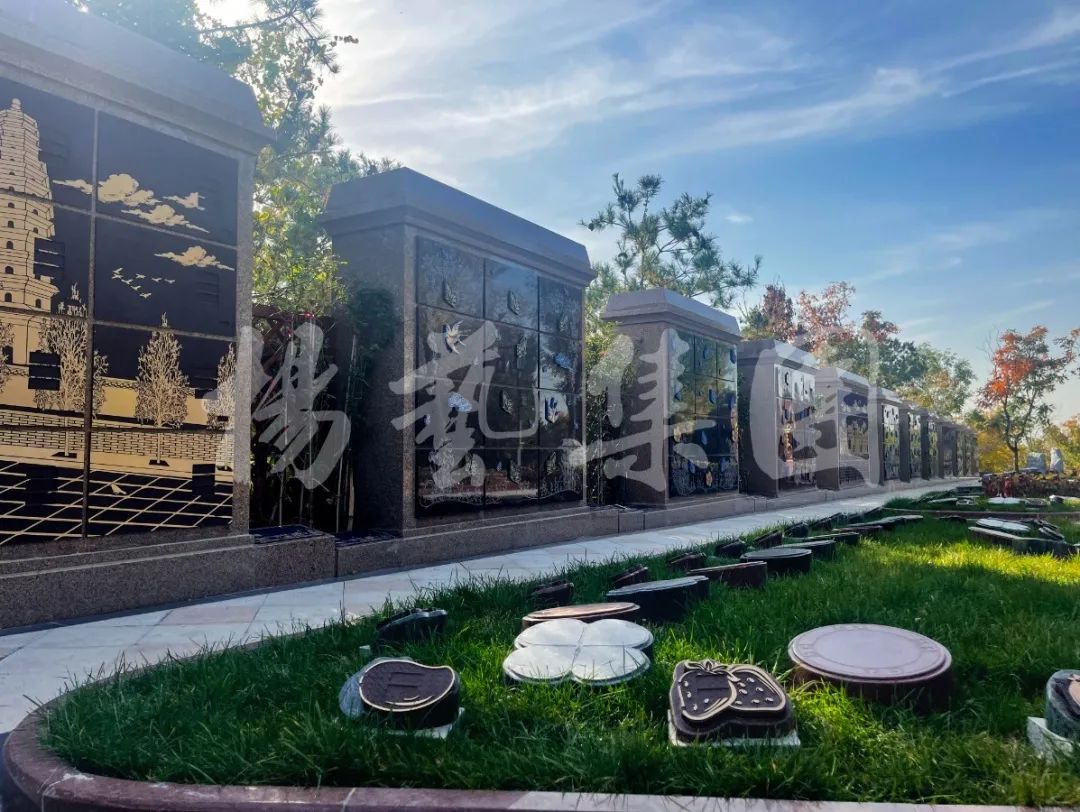 AG真人国际(中国)官方网站