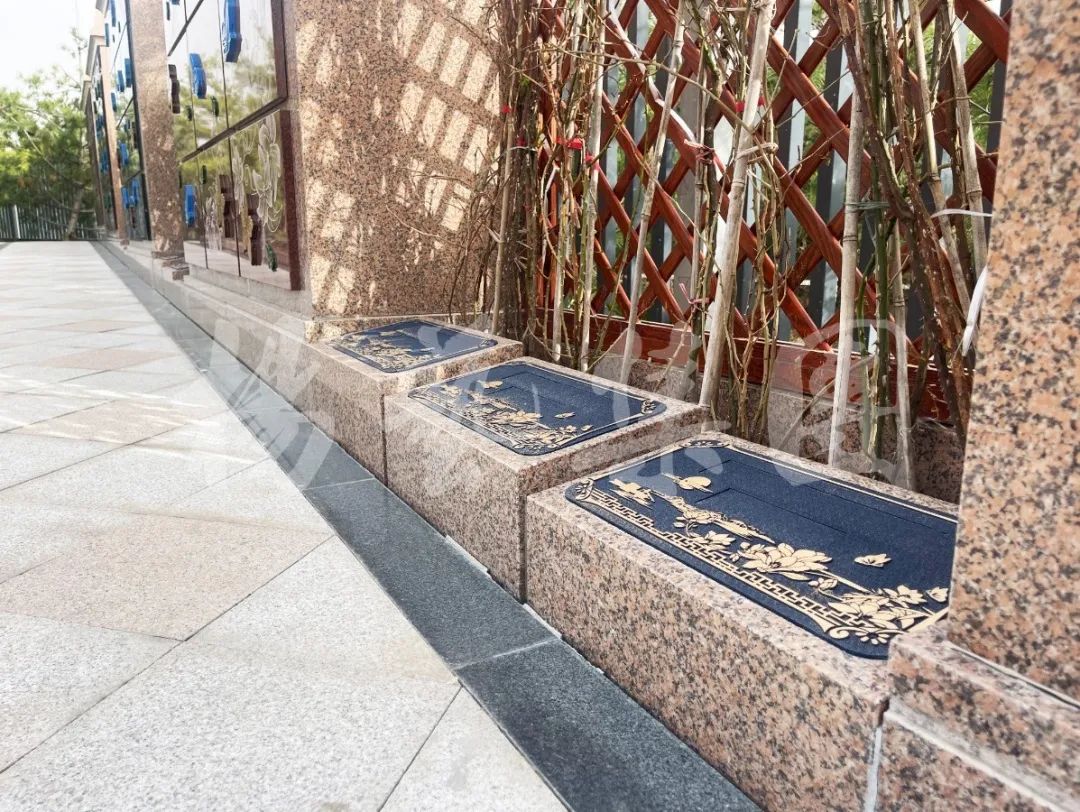 AG真人国际(中国)官方网站