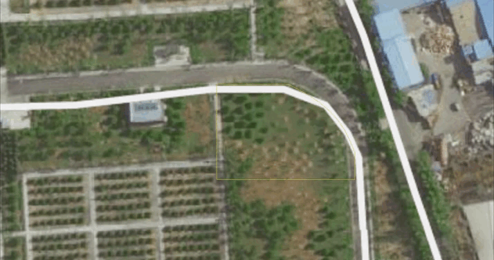 AG真人国际(中国)官方网站