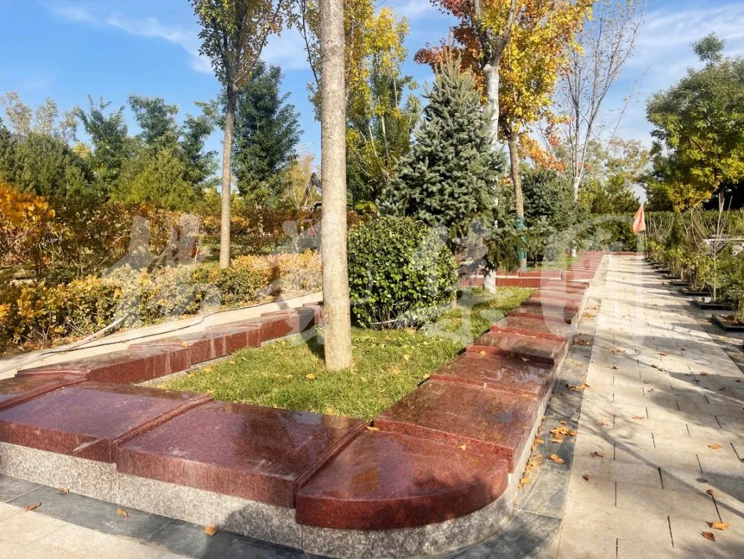 AG真人国际(中国)官方网站