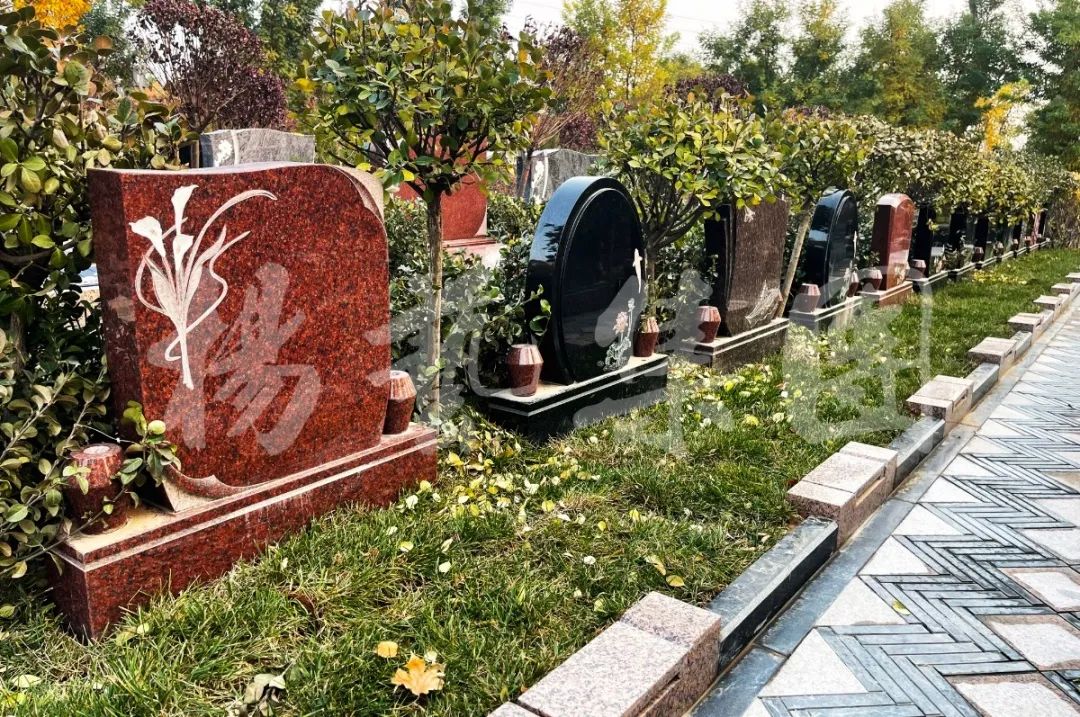 AG真人国际(中国)官方网站