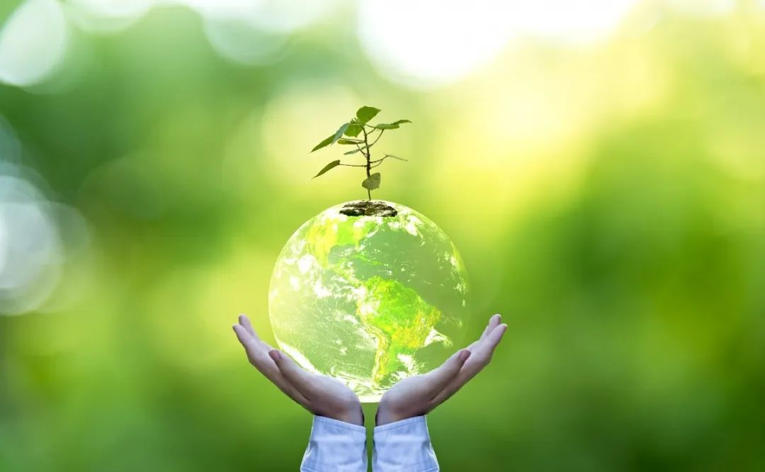 AG真人国际(中国)官方网站