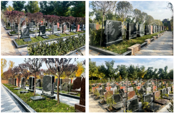 AG真人国际(中国)官方网站