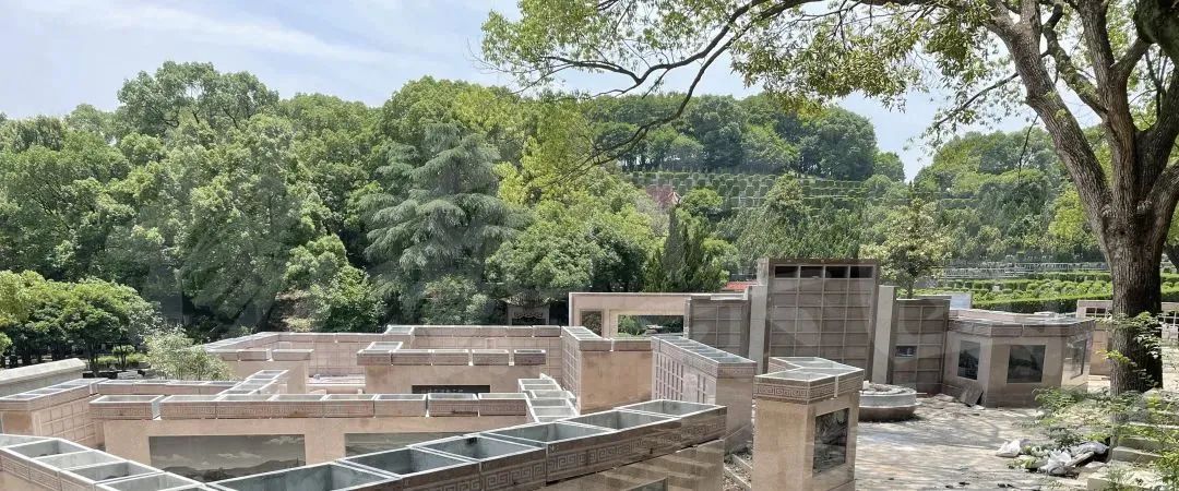 AG真人国际(中国)官方网站