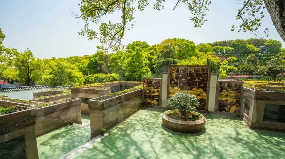 AG真人国际(中国)官方网站