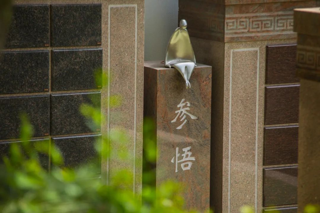 AG真人国际(中国)官方网站