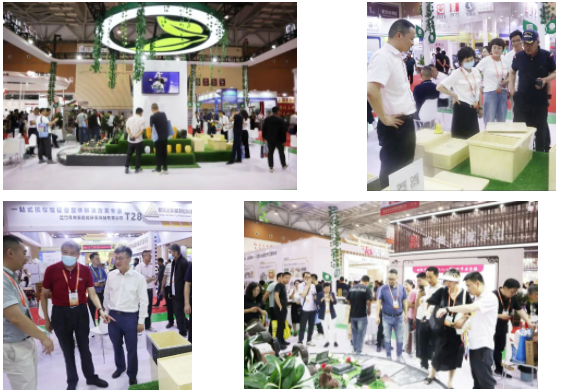 AG真人国际(中国)官方网站