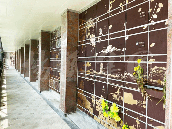 AG真人国际(中国)官方网站