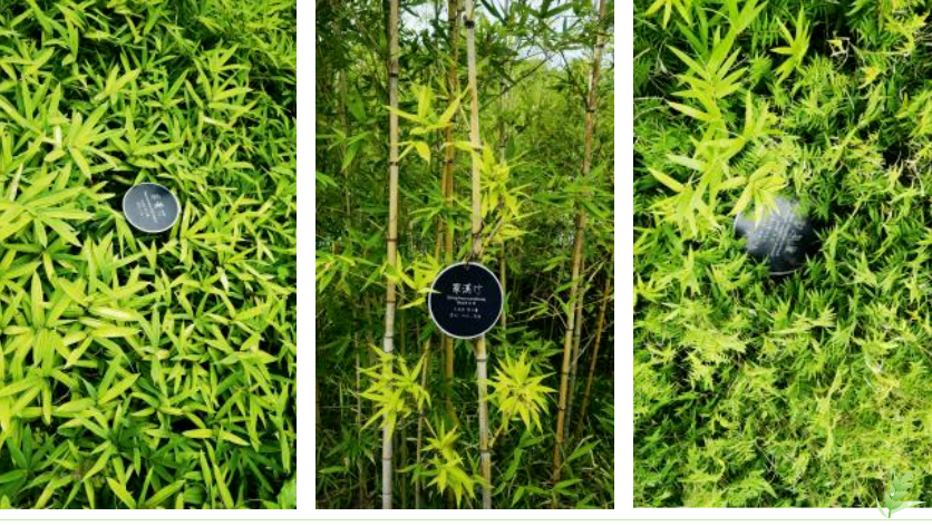 AG真人国际(中国)官方网站