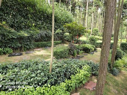 AG真人国际(中国)官方网站