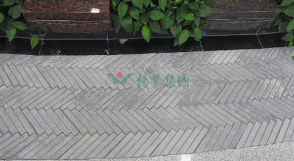 AG真人国际(中国)官方网站