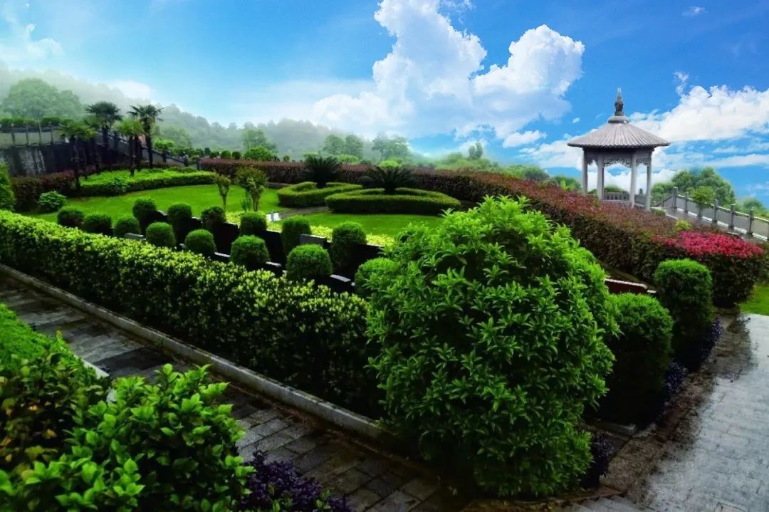 AG真人国际(中国)官方网站