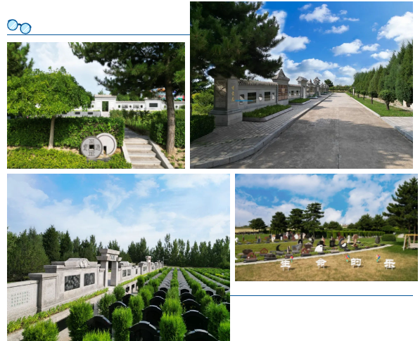 AG真人国际(中国)官方网站