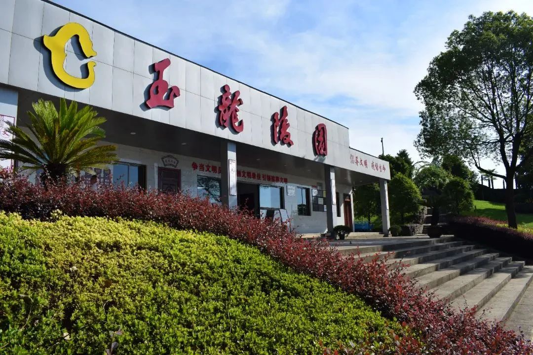 AG真人国际(中国)官方网站