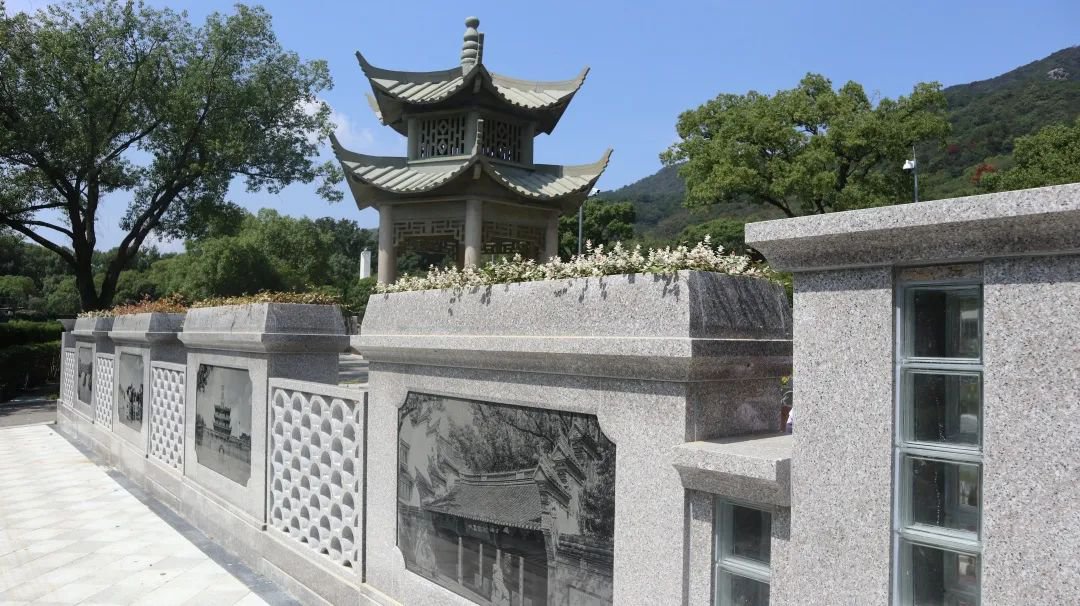 AG真人国际(中国)官方网站