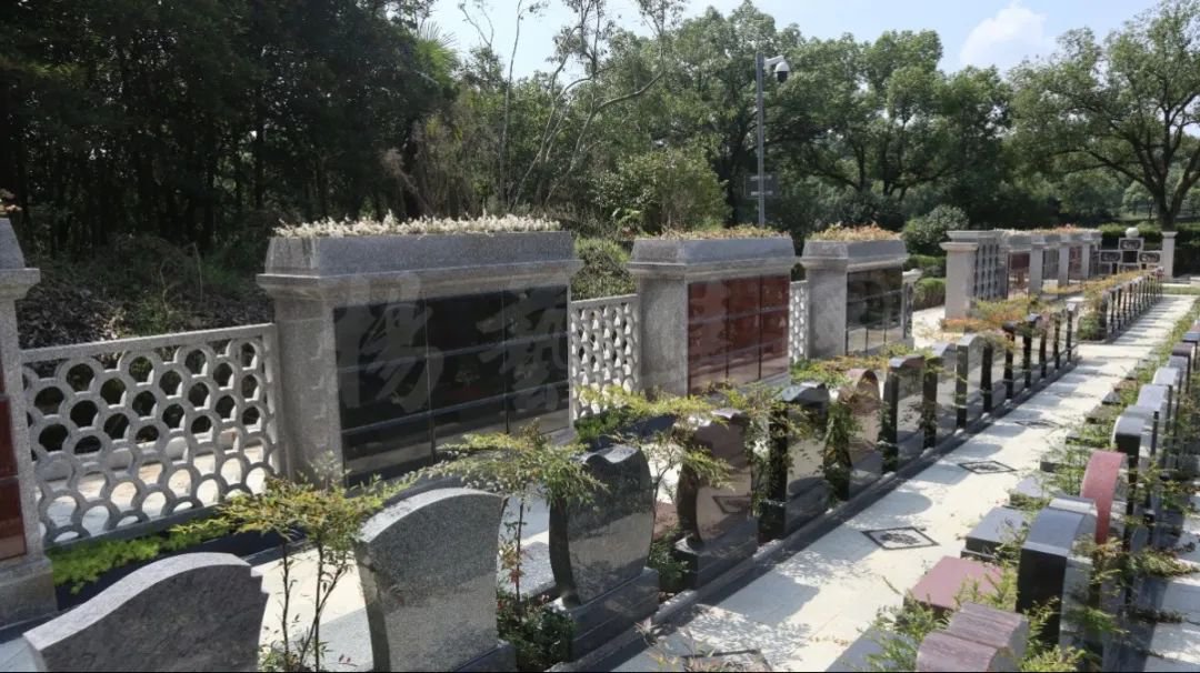 AG真人国际(中国)官方网站