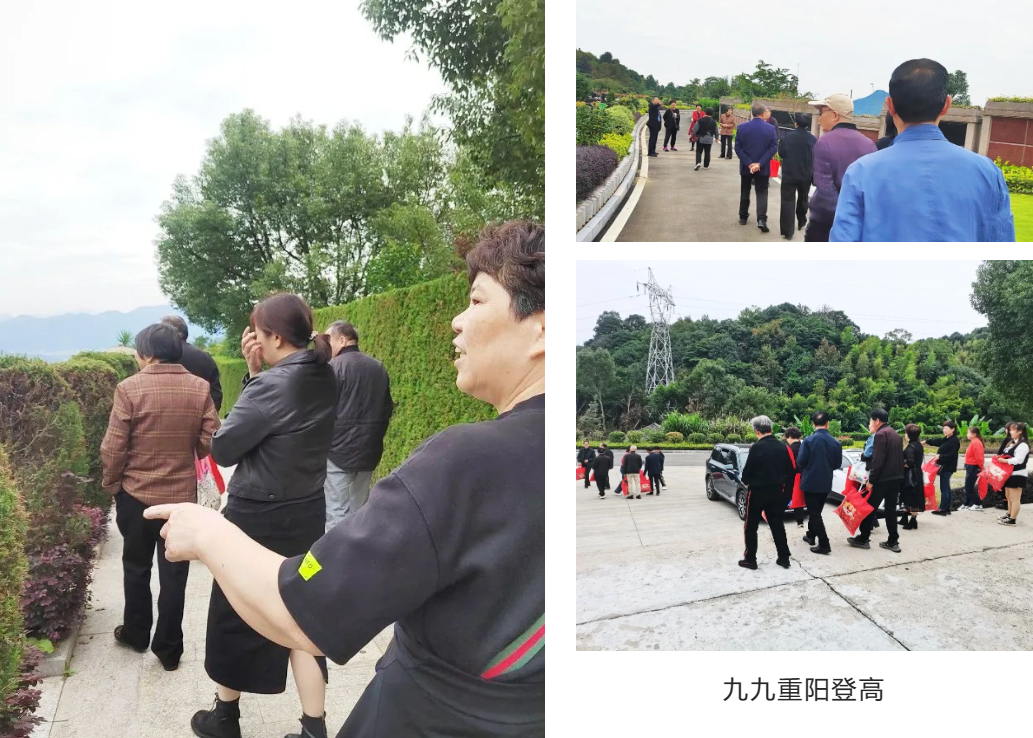 AG真人国际(中国)官方网站